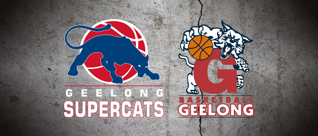 Basketball Geelong Joins The Viva Team!
