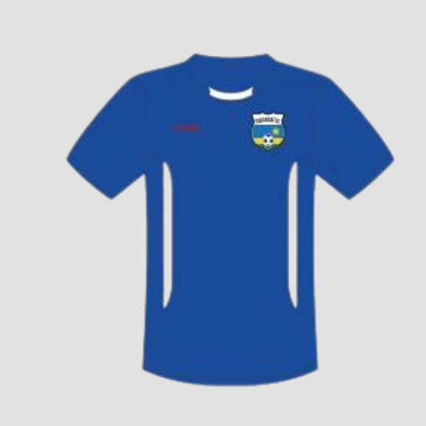 Royal blue top soccer jersey