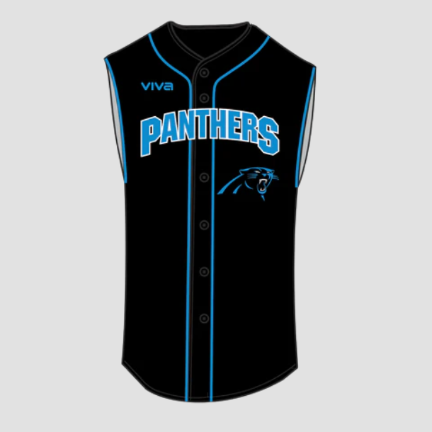 Carolina panthers discount baseball jersey